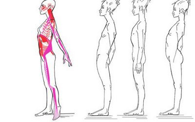 Recuperar l’elasticitat: estiraments de cadenes musculars