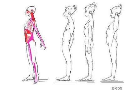 Recuperar l’elasticitat: estiraments de cadenes musculars