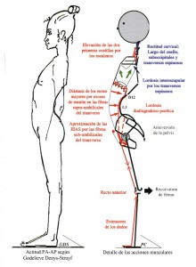 exemple cadenes escursades